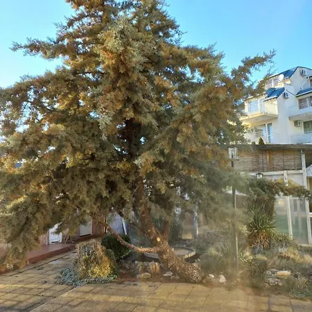 Apartamento Апартаменти-Рутбей-Равда